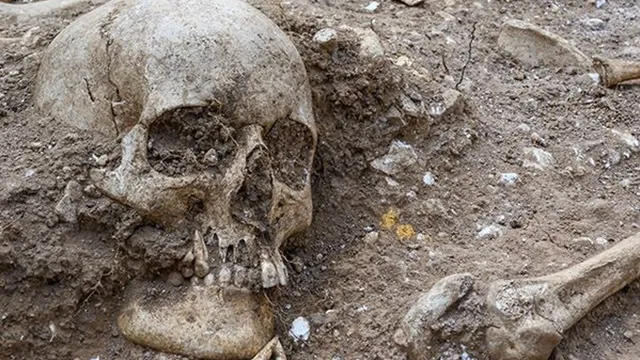 Viking-era mass grave reveals evidence of executions near Cambridge