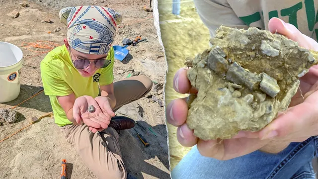 High school student unearths 150-million-year-old dinosaur fossil in Montana