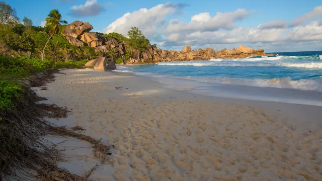 CDC warns travelers over chikungunya outbreak in Seychelles