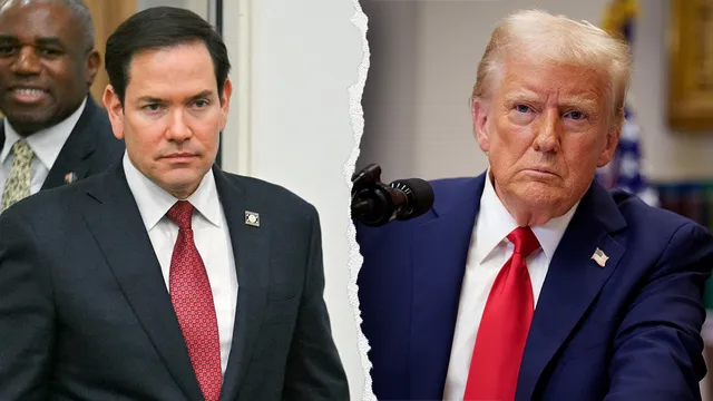 Trump orders major overhaul of National Security Council staff