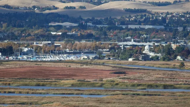 Suisun City declares emergency after malware disrupts critical systems