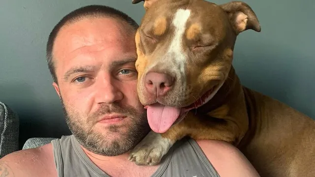 Dog Owner Returns Home to Tragedy