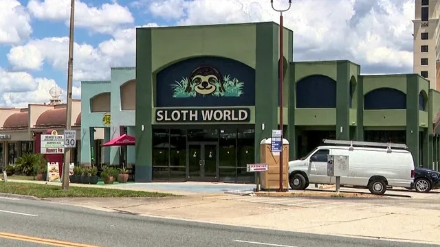 Thirty-one sloths die due to negligence in Florida slotharium facility