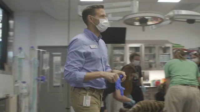 Denver Zoo's head veterinarian emphasizes compassionate end of life care for animals