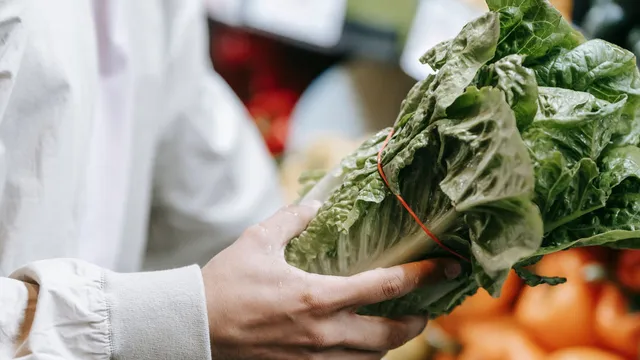 CDC reports nearly 14,000 cyclosporiasis cases linked to lettuce outbreak