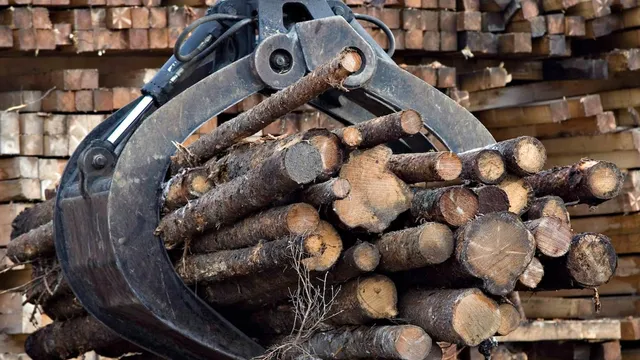 Legault warns Trump’s tariff could devastate Quebec’s forestry sector
