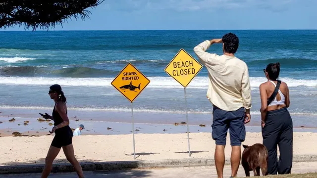 Community mourns Australian boy killed by shark in Sydney Harbour
