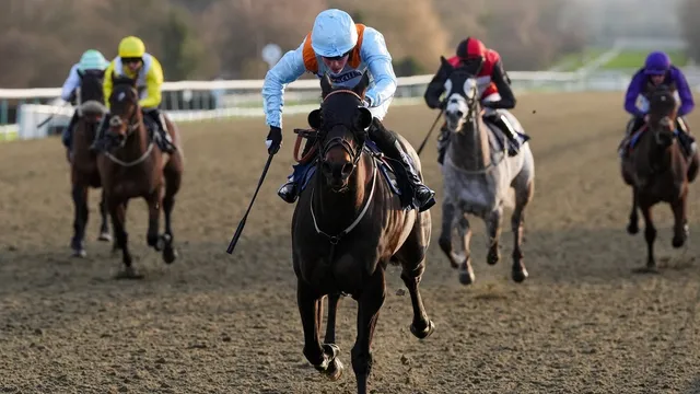 Jonathan Doidge shares key racing tips for Dublin Racing Festival