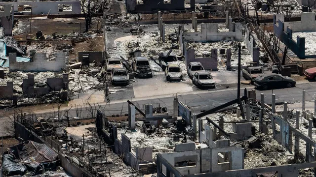 Hawaii Supreme Court faces crucial insurance showdown over wildfire settlement