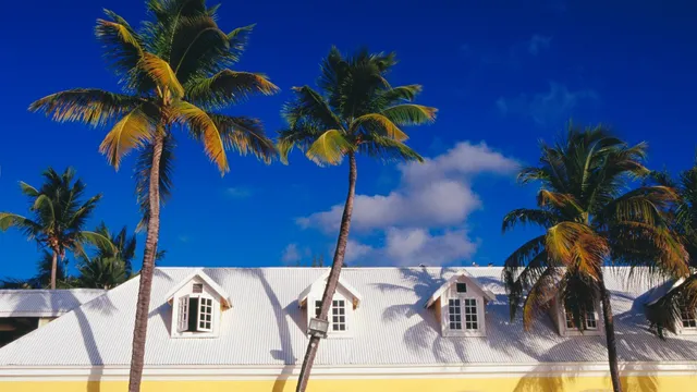 Wealthy Americans rush to obtain Caribbean citizenship as a safeguard