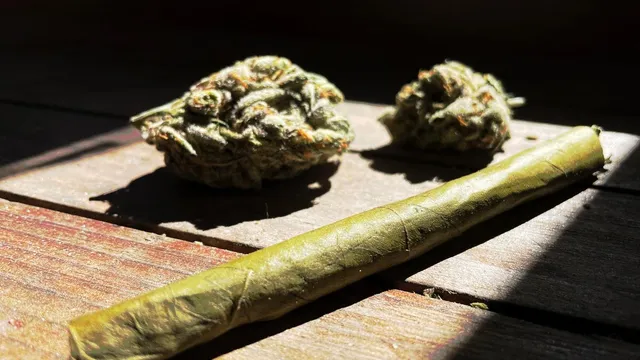Kay Ivey signs controversial law regulating hemp products in Alabama