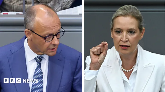Merz condemns AfD's migration policy as ethnic cleansing