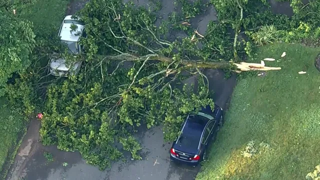 Three dead as severe thunderstorms ravage New Jersey towns