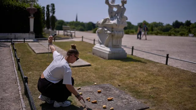 Frederick the Great did not bring potatoes to Germany