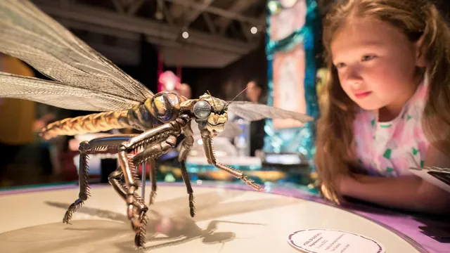 Perot Museum showcases innovation inspired by insects