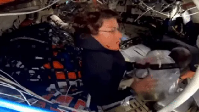 Nutella makes history by floating around the moon on Orion mission