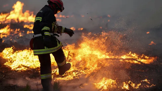 250,000 evacuated as wildfires rage in France and Spain