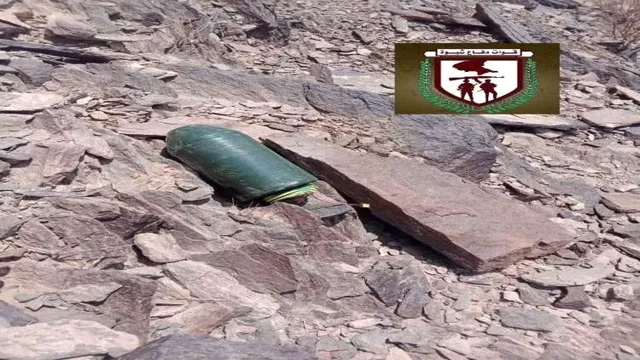 Yemen's Shabwa Defense Forces shoot down Houthi drone in Bayhan