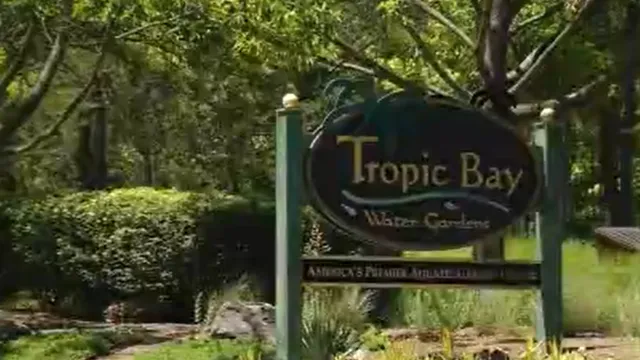 Teenagers arrested for gruesome murder of Maryland business owner