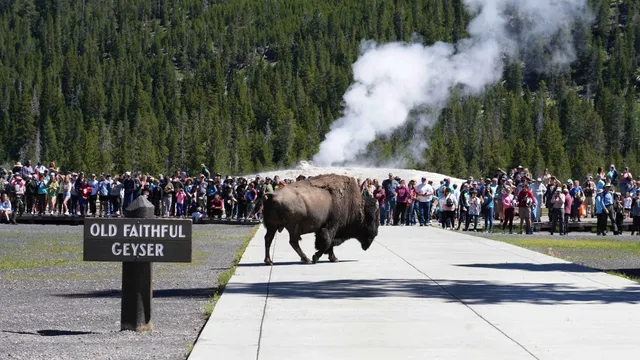 Colder air and snow forecasted across central and eastern U.S