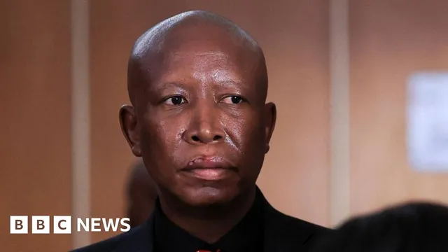 Julius Malema sentenced to five years for gun charges