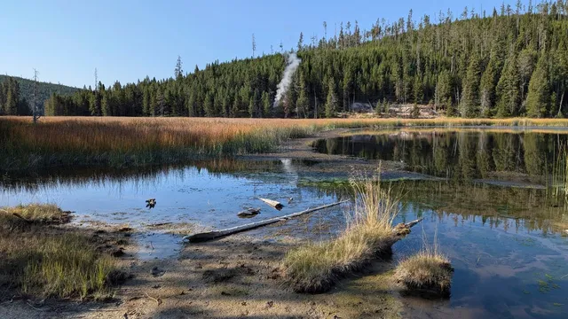 Yellowstone's new thermal vent captures tourist attention
