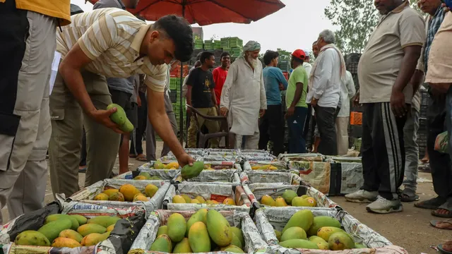 China blocks Indian rice exports over GMO concerns
