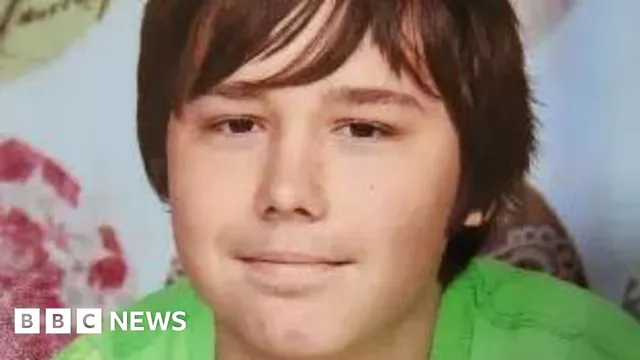 Dylan Phelan admits to encouraging US citizen to commit suicide