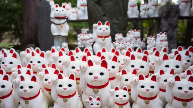Japan's Enduring Love for Cats: A Cultural Phenomenon
