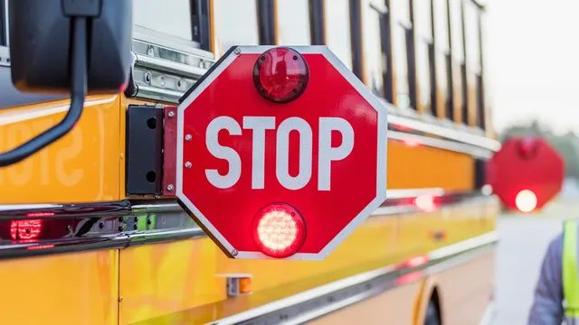 Georgia school district shuts down due to snake and squirrel threats