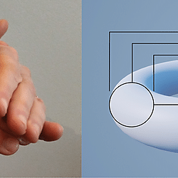 Figure 8. Folding the walls in gesture and torus diagram
