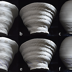 Figure 25. Relationship between significant compression folds and undulations