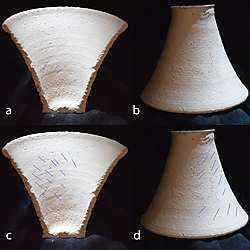 Figure 27. Minor but widely distributed compression folds
