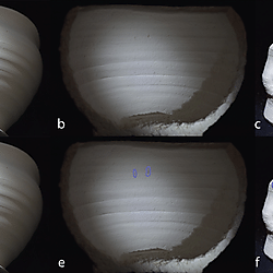 Figure 13. Crevices on experimental material