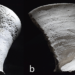 Figure 22. Relationship between exterior and interior surface traces
