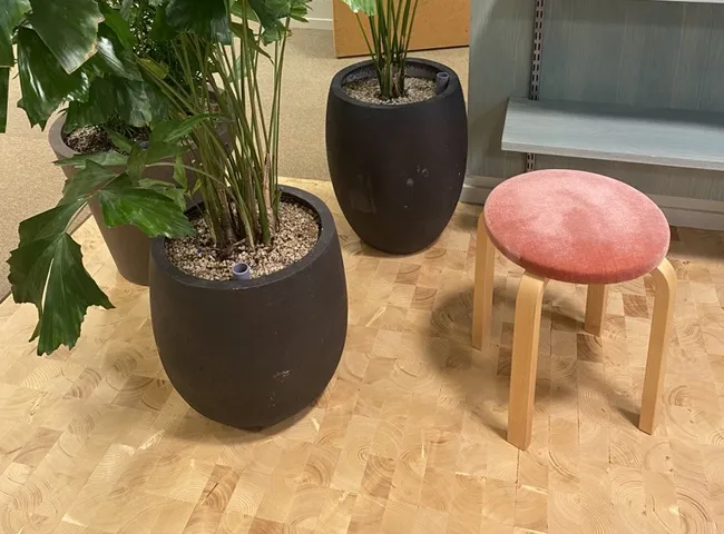 Blomkruka