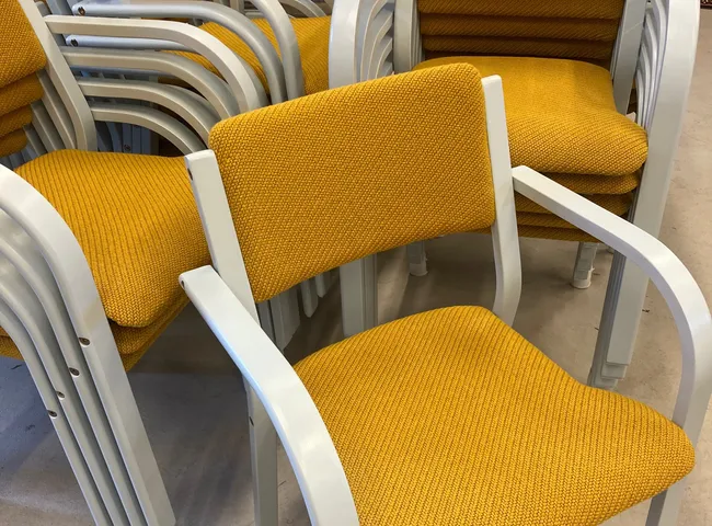 Sajkla Bently Senapsgul sits efter rekond