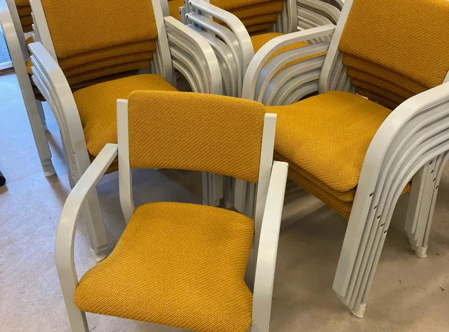 Sajkla Bently Senapsgul sits efter rekond