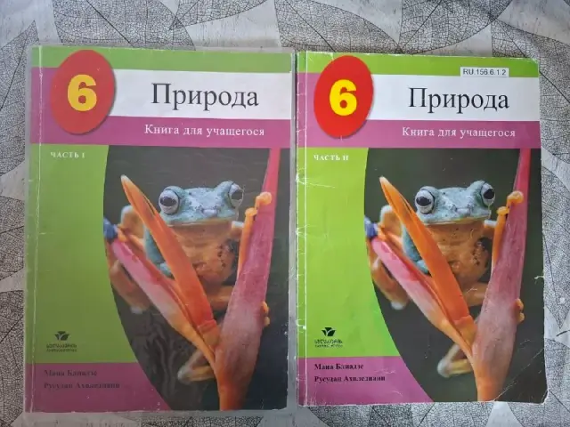 Учебники за 6 класс, русскоязычные, комплект — Батуми — 100 ₾
