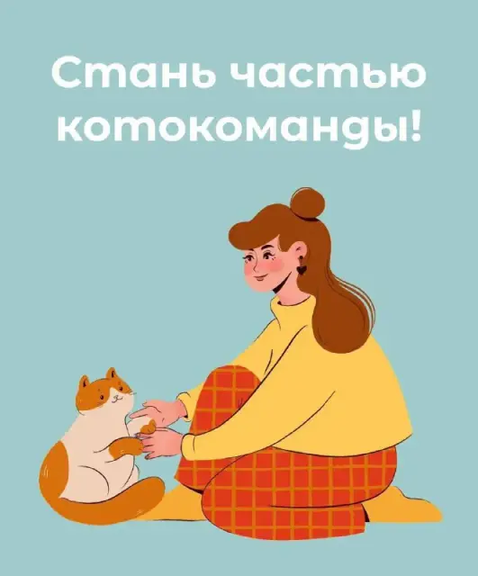Meow Survivors — команда волонтёров в Батуми, которая помогает бездомным котикам обрести дом и любов — Батуми