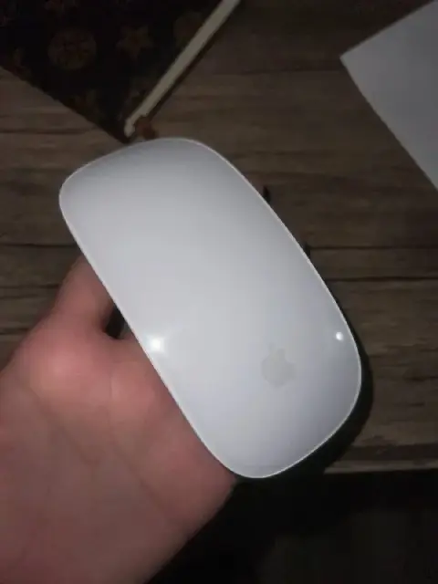 apple mouse — Tbilisi — 200 ₾