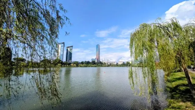 25°C. — Батуми