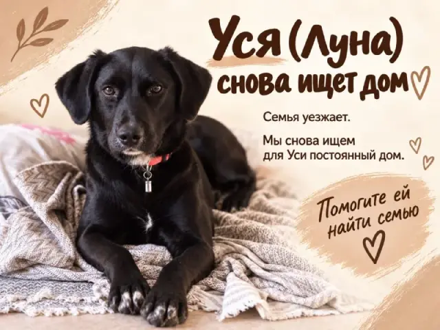 Без названия — Батуми
