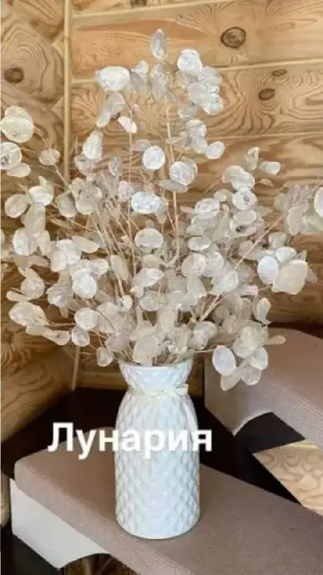 Без названия — Yerevan