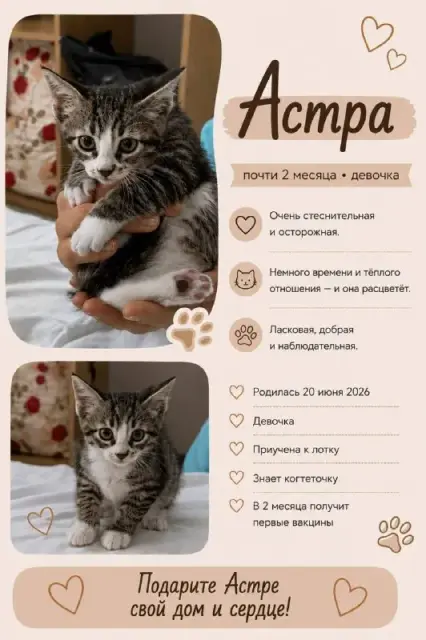 [телефон] — Батуми