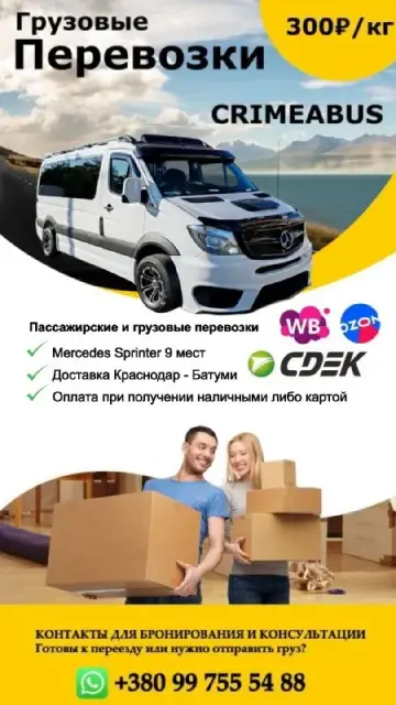 Wildberries · Ozon · Яндекс Маркет · Авито — Батуми — 350 ₽