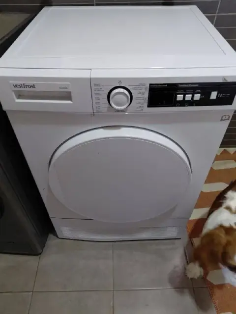 500 gel — Тбилиси — 500 ₾