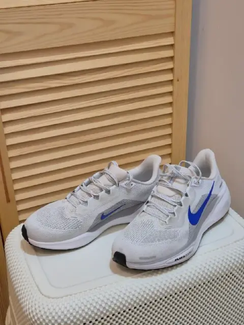 Nike Pegasus 41 — Тбилиси — 41 150 ₾