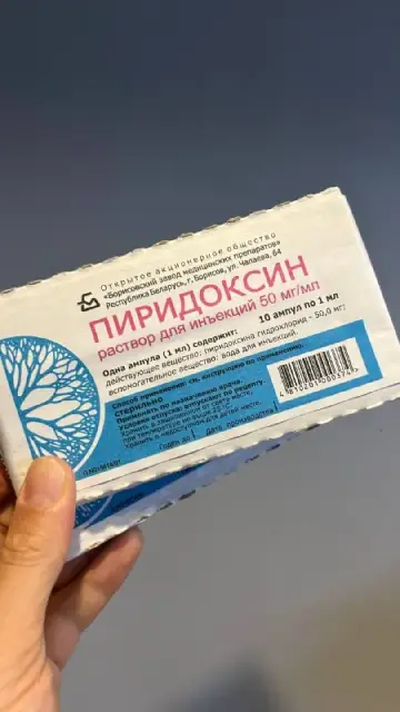 6 отдам — Тбилиси — 5 ₾