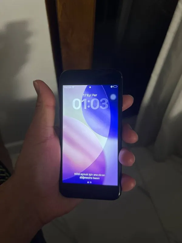 13 pro